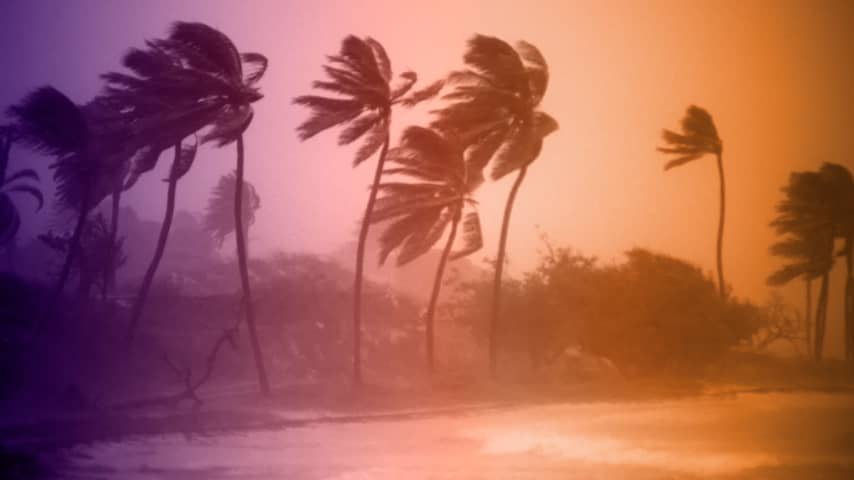 Ook Bonaire getroffen door klimaatverandering, Greenpeace start rechtszaak
