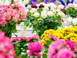Exporteurs Nederlandse bloemen voelen Europese koudegolf