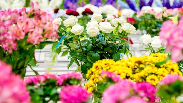 planten met kelkbloemen planten met kelkbloemen