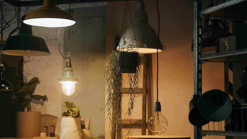 Graag gedaan Bijdrage met de klok mee Meer licht in de woonkamer: 'Mensen hebben vaak te weinig lampen' | Wonen |  NU.nl