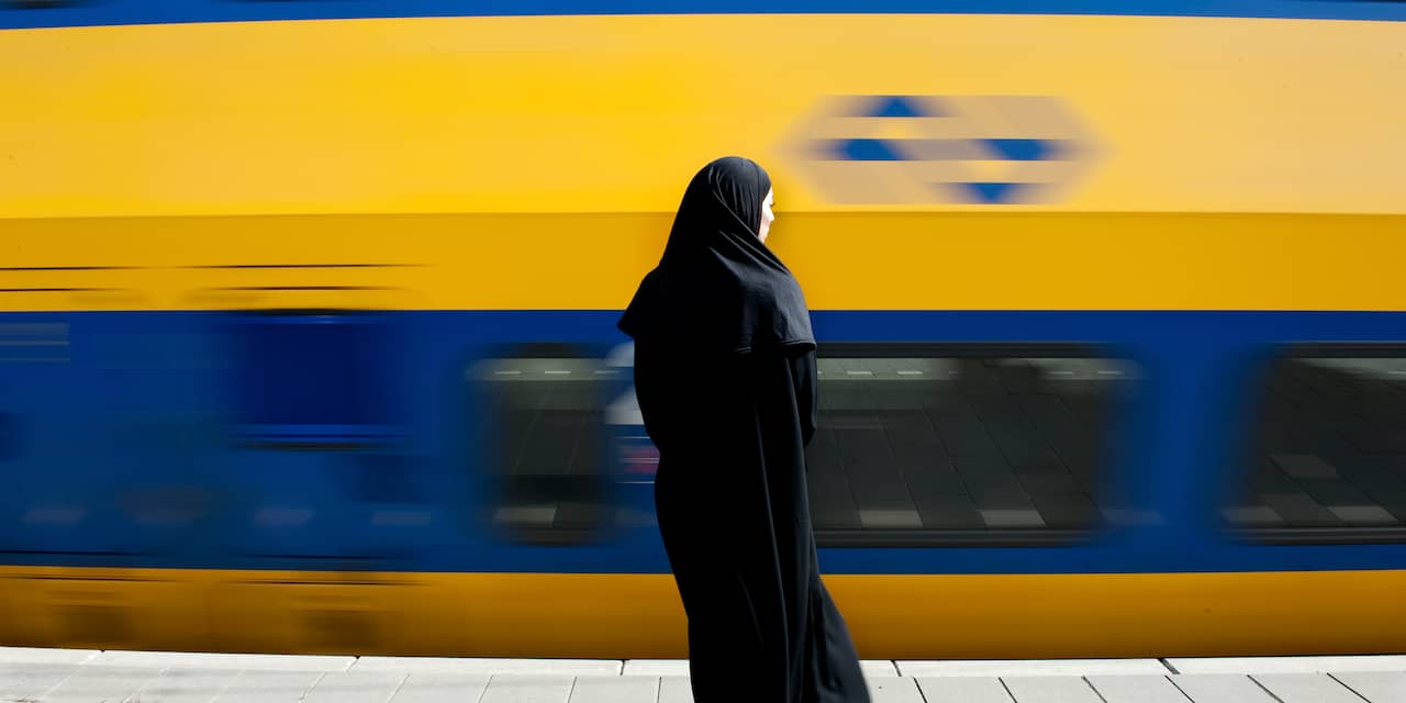 Treinverkeer van Apeldoorn en Zwolle naar Amersfoort weer op gang na problemen door uitloop werkzaam