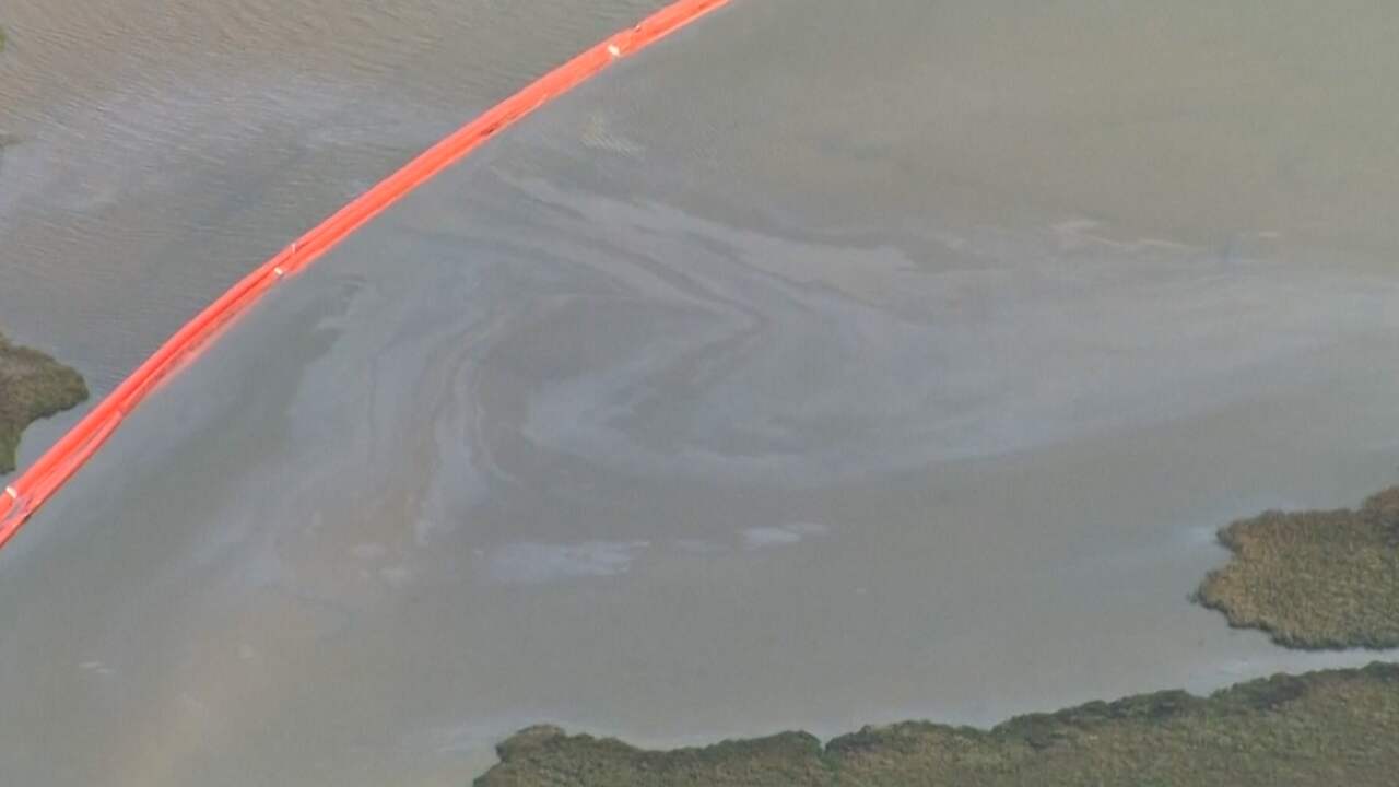 Beeld uit video: Flinke olievlek in grootste natuurlijke haven in Europa