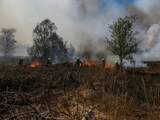 Brabantse en Limburgse brandweer vechten hele nacht tegen natuurbranden