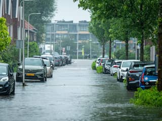 Omgevallen bomen en straten blank: regen zorgde ook dinsdag voor overlast