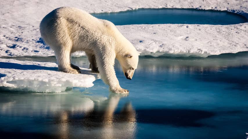 NUcheckt: Groeit arctisch zee-ijs sneller dan verwacht en ieder jaar verder?