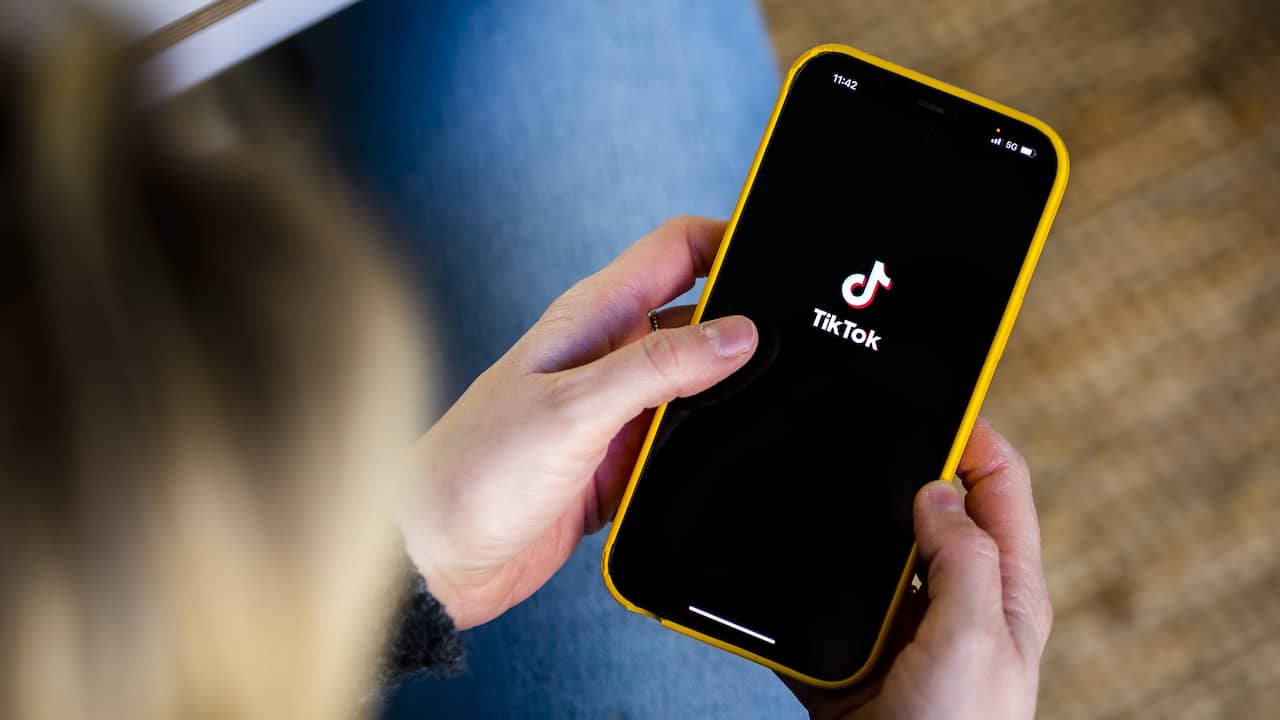 The Dutch government will ban the use of TikTok on government phones |  Technique