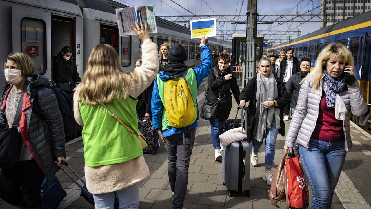 Беженцы в нидерландах. Украинские беженцы. Украинцы в Нидерландах. Украинские беженцы в Нидерландах. Беженцы с Украины 2022.