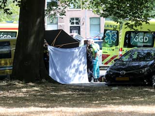 Doodgeschoten crimineel Pronk gelinkt aan dood van man in Rijswijk