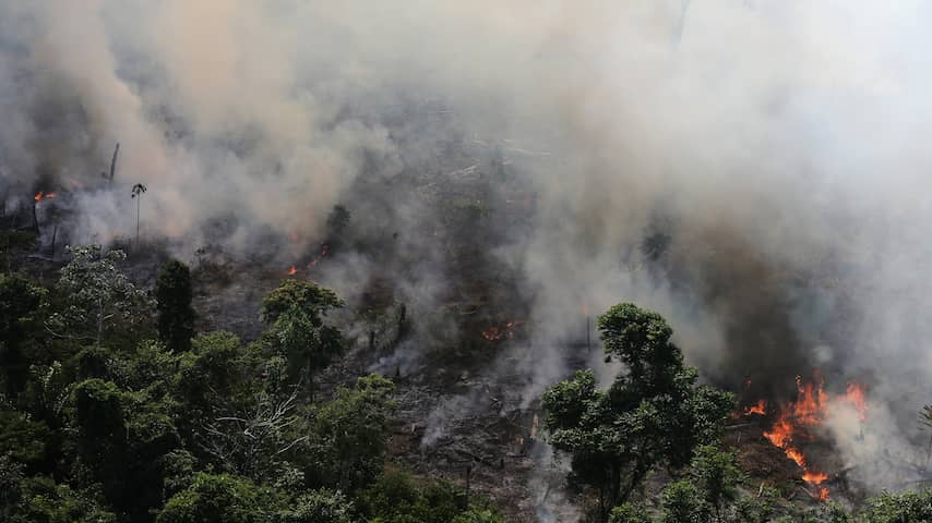 Recordaantal branden gedetecteerd in Amazoneregenwoud