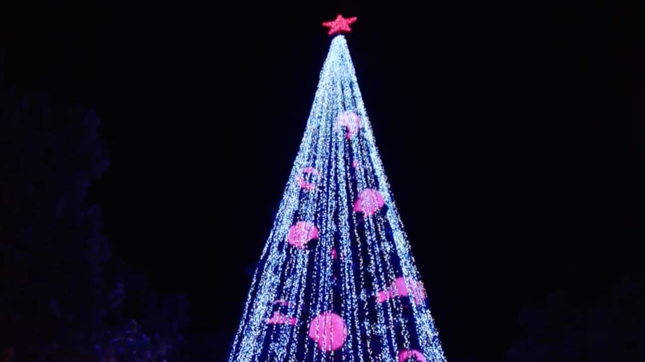Beeld uit video: Australië vestigt wereldrecord met 518.838 kerstlampjes 