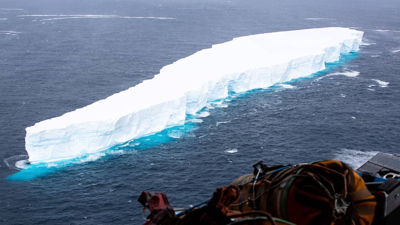 Two massive icebergs in the Atlantic Ocean threaten global shipping |  distinct