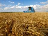 NASA-satellieten zien Rusland voor miljard dollar tarwe oogsten in Oekraïne