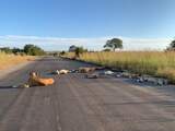 Leeuwen slapen door lockdown op de weg in Zuid-Afrikaans Kruger Park