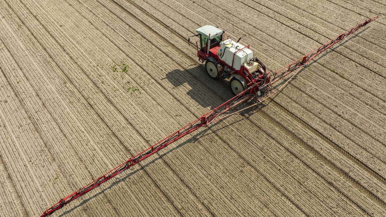 Vantaggio per gli agricoltori: i prezzi internazionali dei fertilizzanti sono ora inferiori rispetto a prima della guerra |  Economia