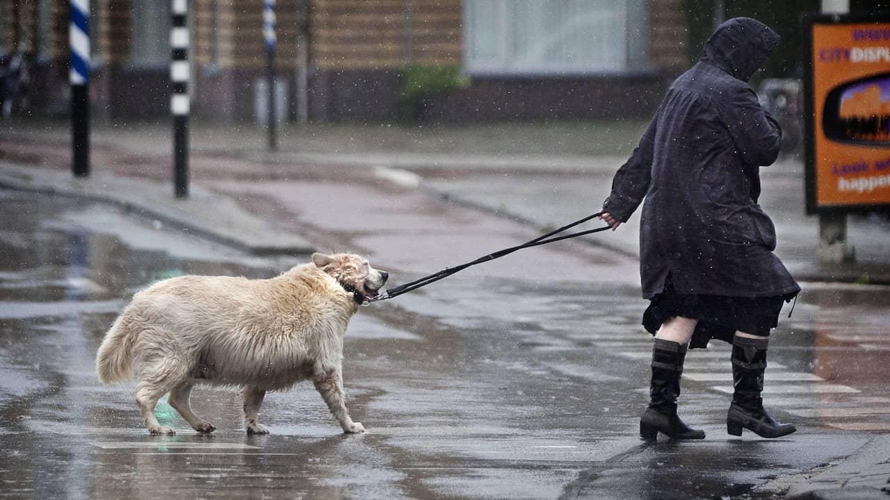 “Rainy Days Ahead: Monday Morning Sun Turns to Afternoon Showers”