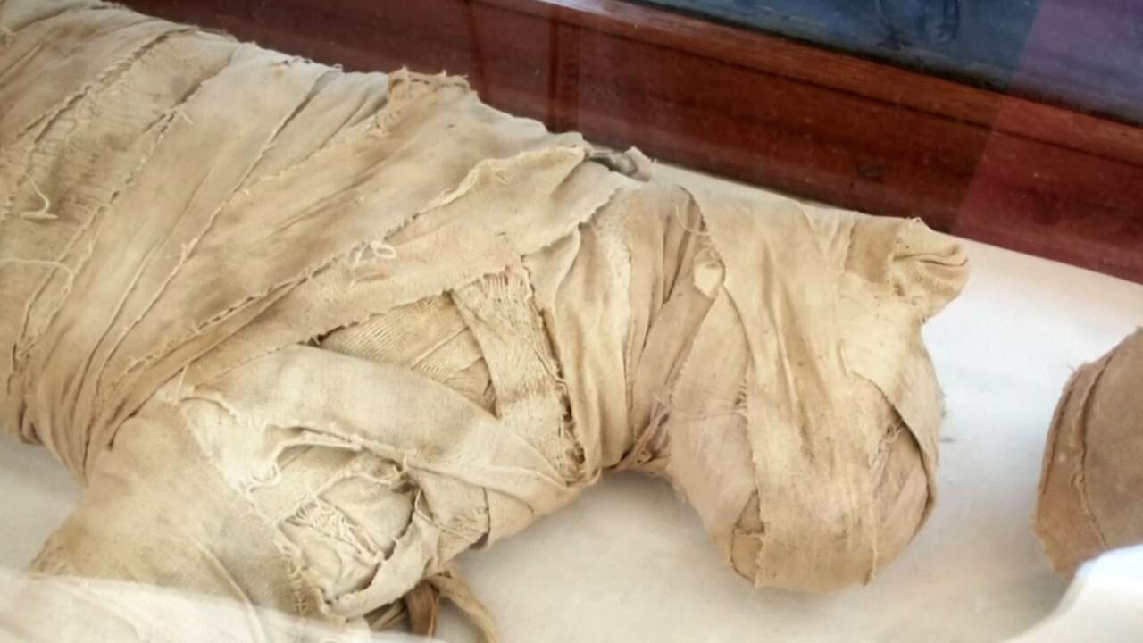 Egypte toont grote vondst van gemummificeerde dieren
