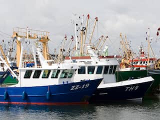Noordzeevissers mogen in 2018 minder tong vangen