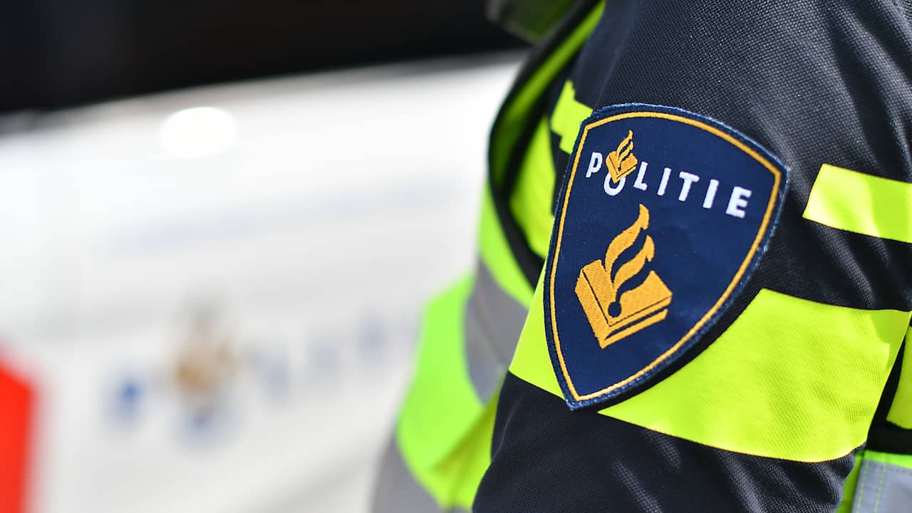 Female arrested for cold scenario of useless youngster in Doetinchem pond, perhaps mom |  NOW