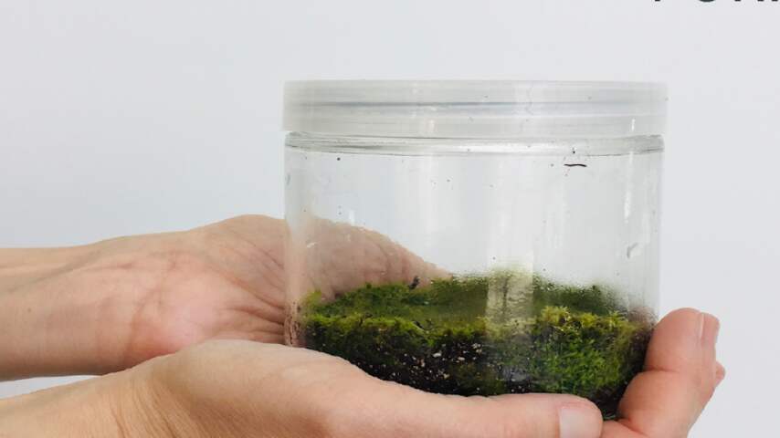 Een virtuele tour langs duurzame ontwerpen op de Dutch Design Week