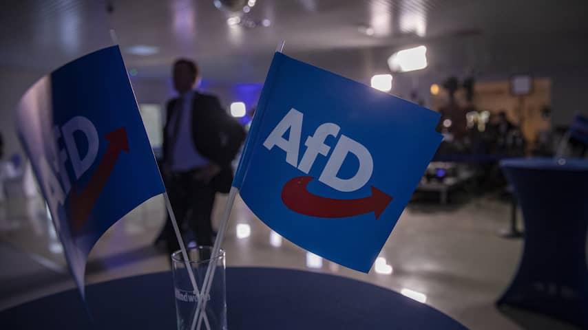 AfD wint voor het eerst regionale verkiezing in Duitsland | Buitenland ...