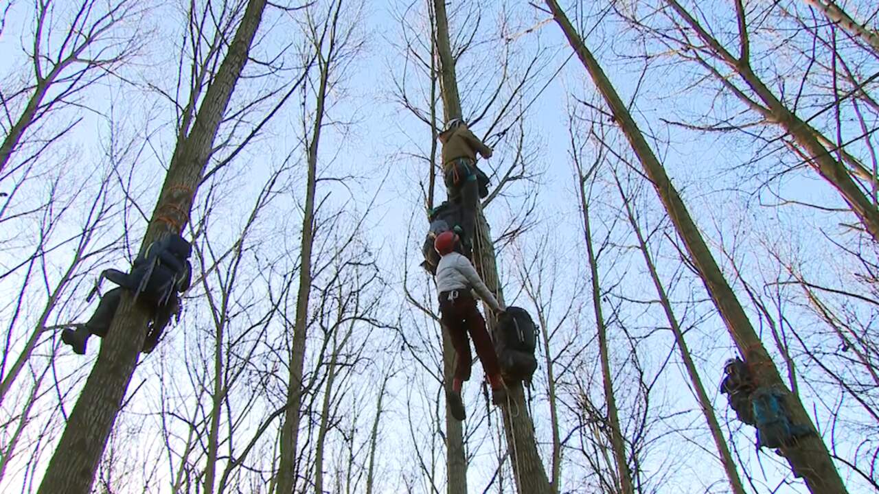 Beeld uit video: Activisten bezetten bos in Limburgse Born vanwege bomenkap