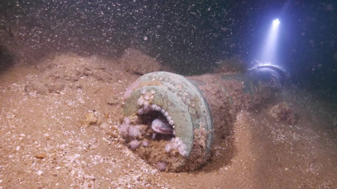 Shipwreck off British coast turns out to be Dutch warship from 17th century |  Abroad