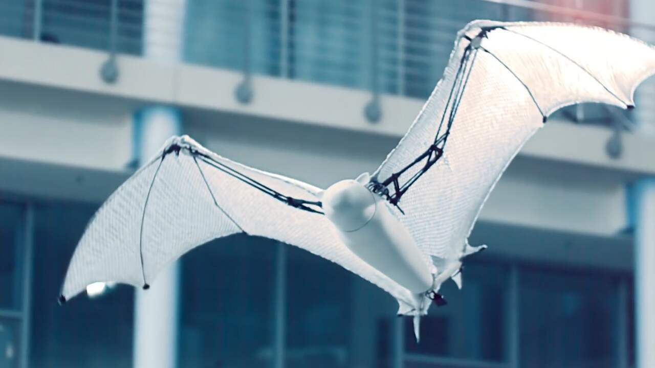 Beeld uit video: Semi-autonome 'vleermuisrobot' vliegt levensecht