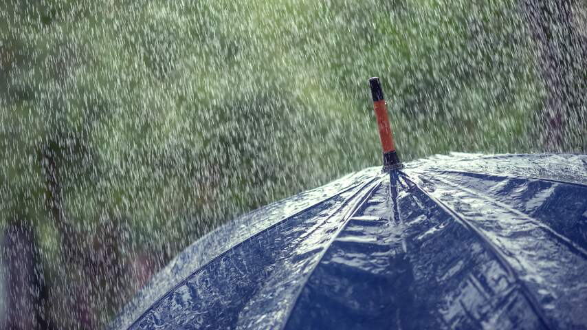 Weerbericht, paraplu, regen