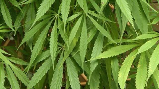 Woning in Goes voor zes maanden gesloten na drugsvondst