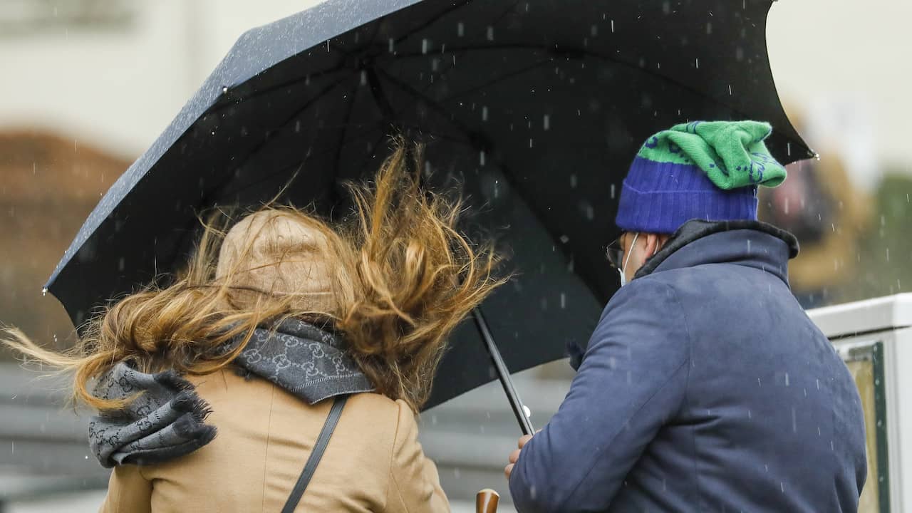 Kwestie Natura Detector Weerbericht: Nog geen lenteweer door krachtige wind, bewolking en regen |  Binnenland | NU.nl
