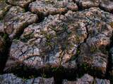 NUpanel: Hoe ga jij om met de droogte en warmte?