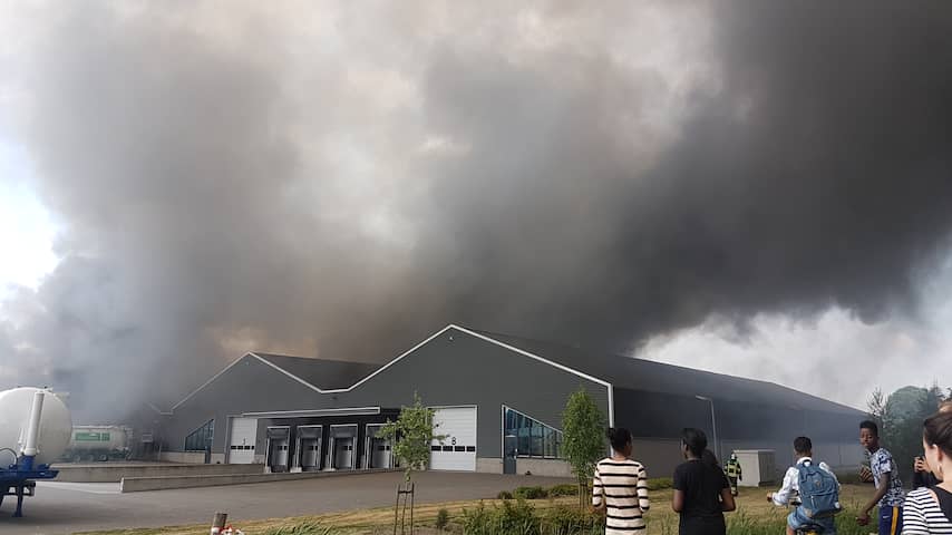 Silo ontploft bij zeer grote brand op industrieterrein Veghel
