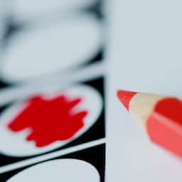 'Software gemeenteraadsverkiezingen nog steeds onveilig'