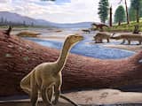 Oudste Afrikaanse dinosaurus ooit gevonden opgegraven in Zimbabwe