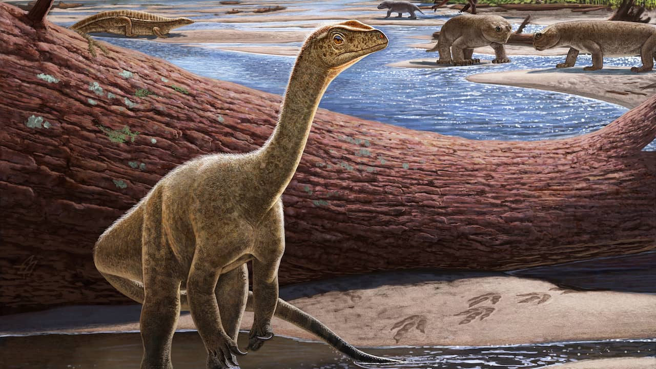 The oldest African dinosaur ever identified uncovered in Zimbabwe |  Science