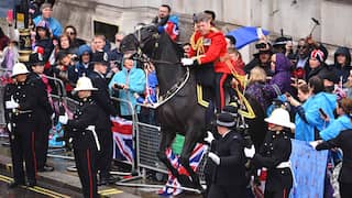 Paard ramt dranghekken in koninklijke stoet naar Buckingham Palace