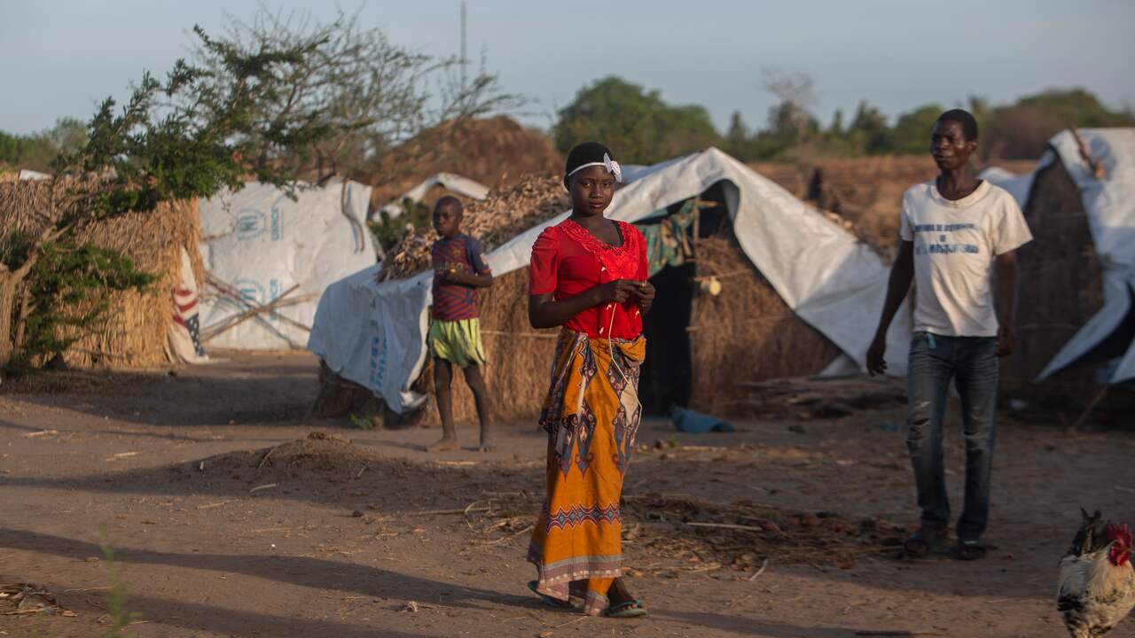 At least 400,000 people have fled north of Mozambique since 2017 |  NOW