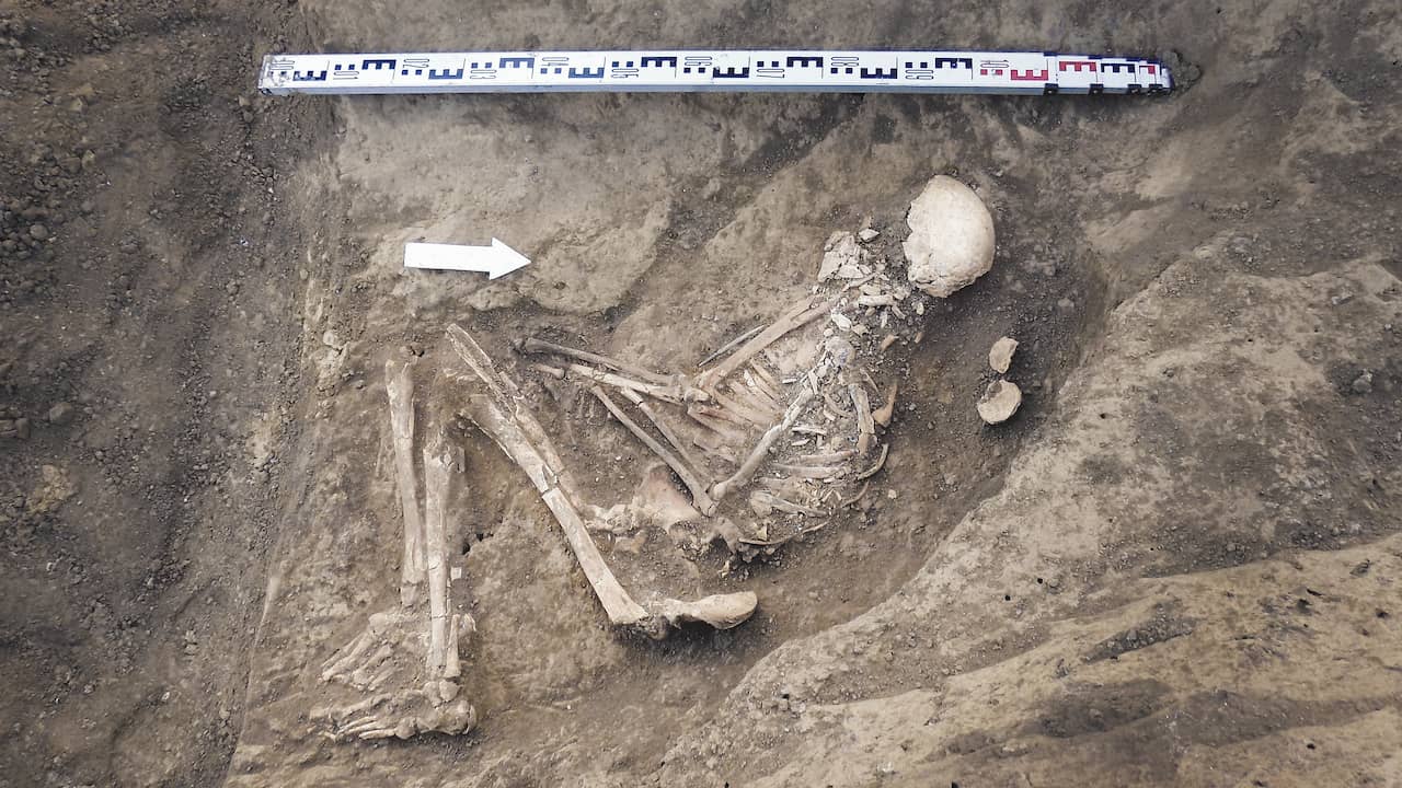 “7,000-Year-Old Skeleton Unearthed in Poland: New Discoveries About Prehistoric Farmers”