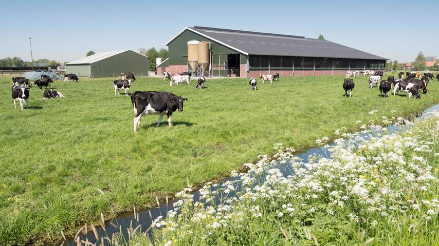 Milieuclub MOB eist dat vergunningen van veertig boeren worden ingetrokken