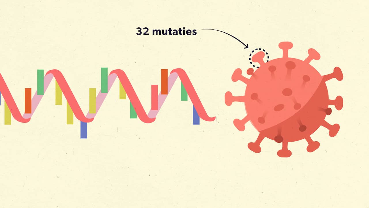 Beeld uit video: Hoe de coronavirusvariant omikron werd ontdekt