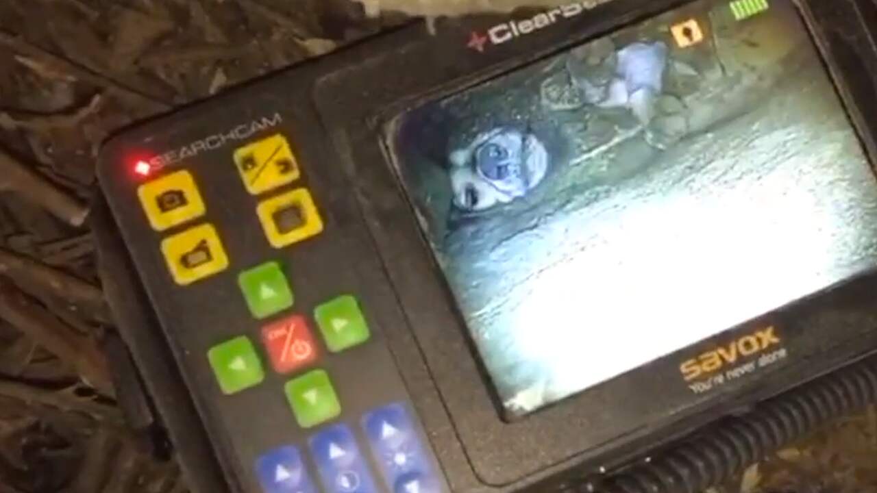 Beeld uit video: Italiaanse brandweer redt na vijf uur hond uit rotsspleet