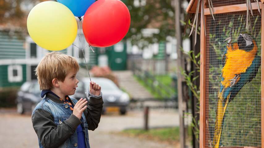 Kinderfilm Dikkertje Dap wint prijzen op Russisch filmfestival