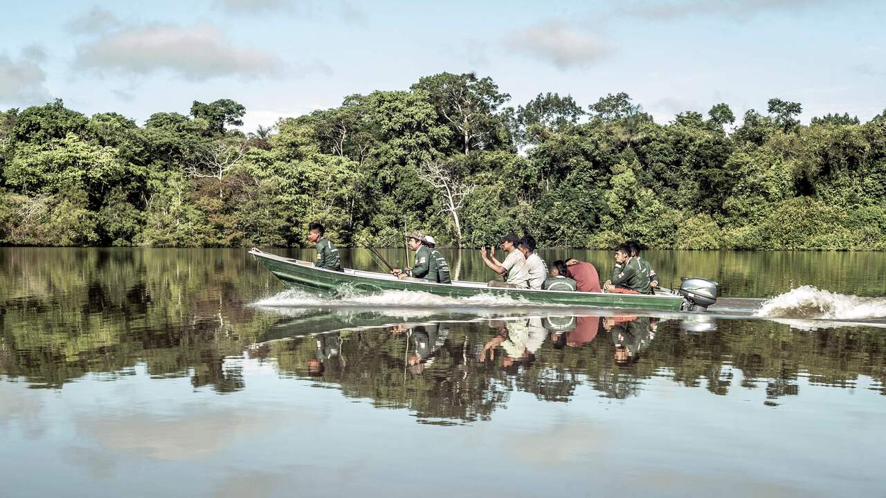 Brazil does not want the West to lecture South America about environmental protection  Abroad