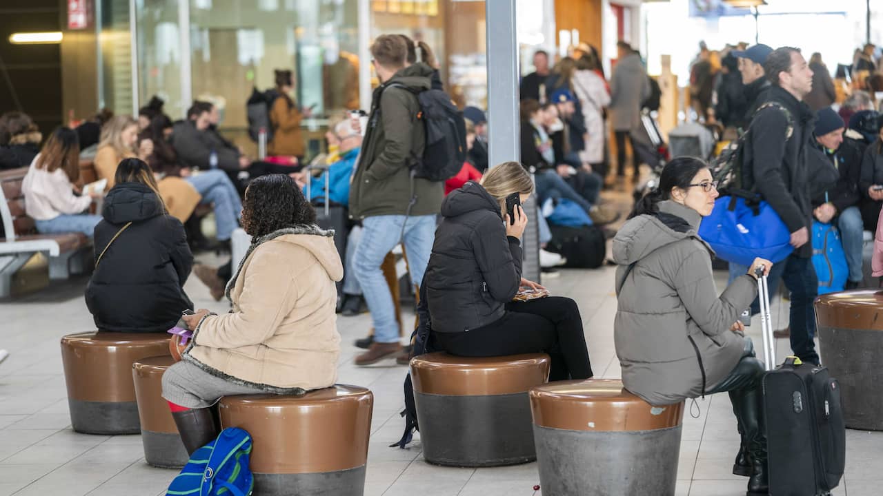 Train Services Disrupted at Utrecht Central Station Due to Possible Track Intruder