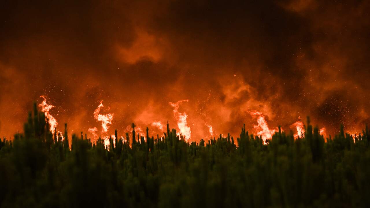 Selon le ministre français, presque tous les incendies de forêt sont la faute des gens |  À l’étranger