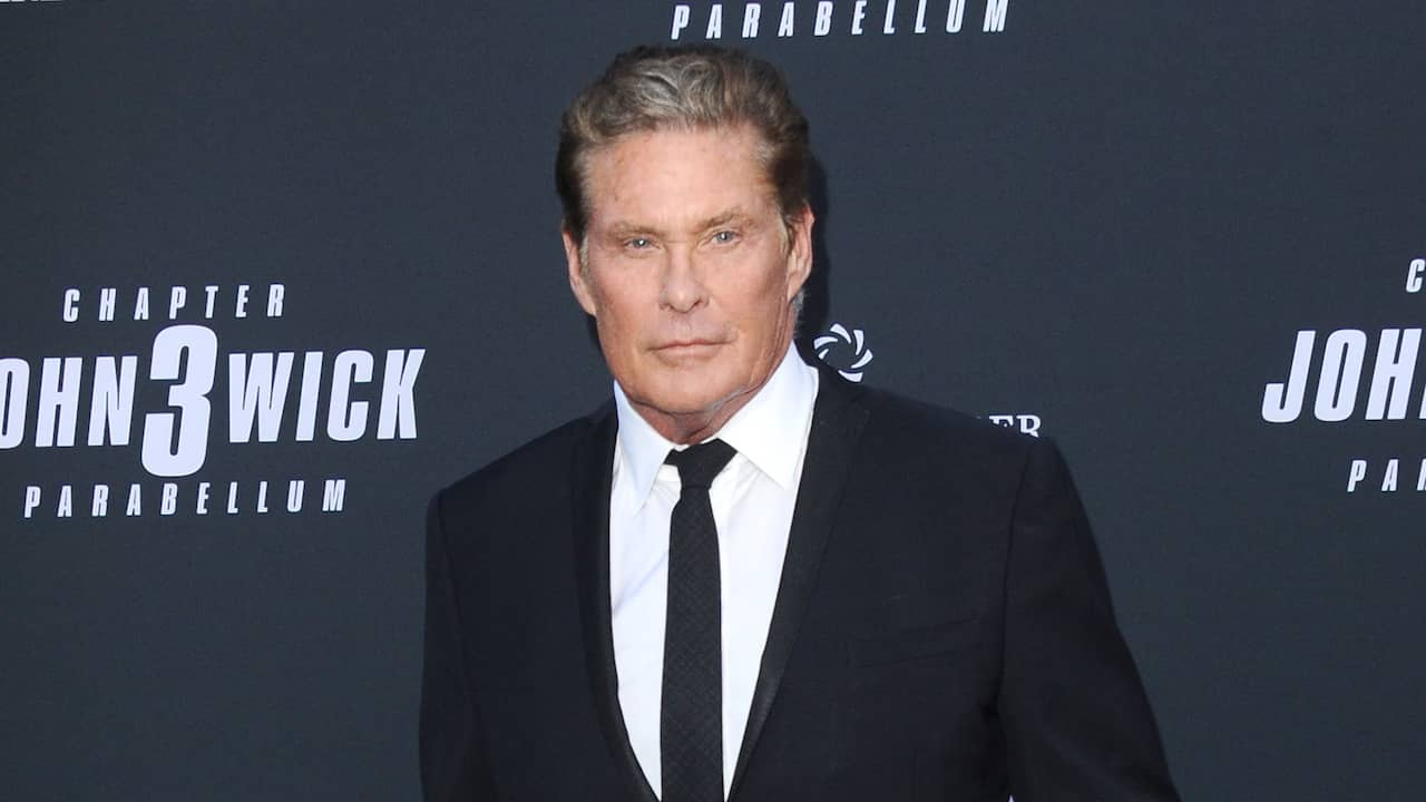 David Hasselhoff voices himself in German TV series |  NOW