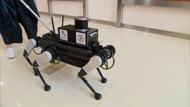 Chinese universiteit demonstreert robothond voor blinden