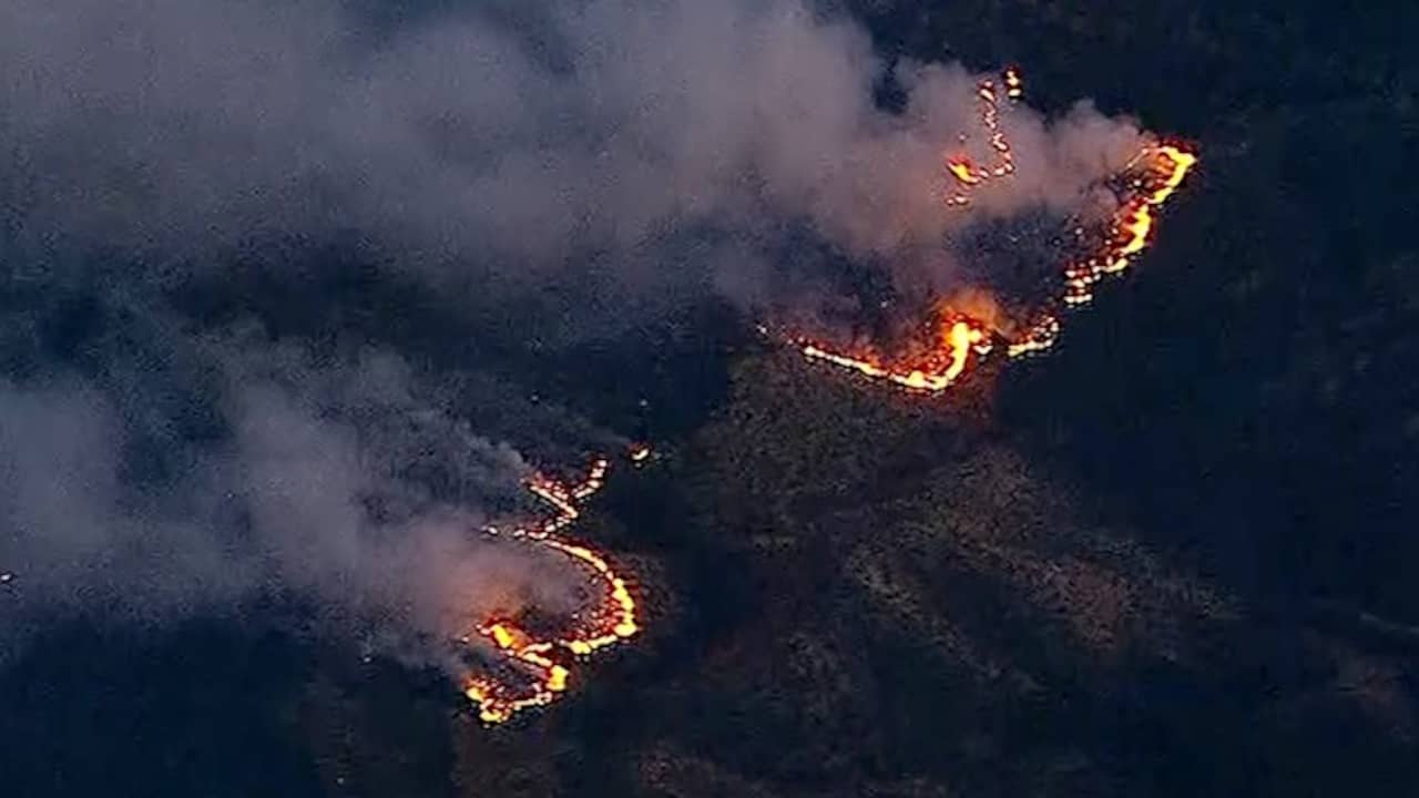 Beeld uit video: Vuur verplaatst zich snel bij bosbrand in Californië
