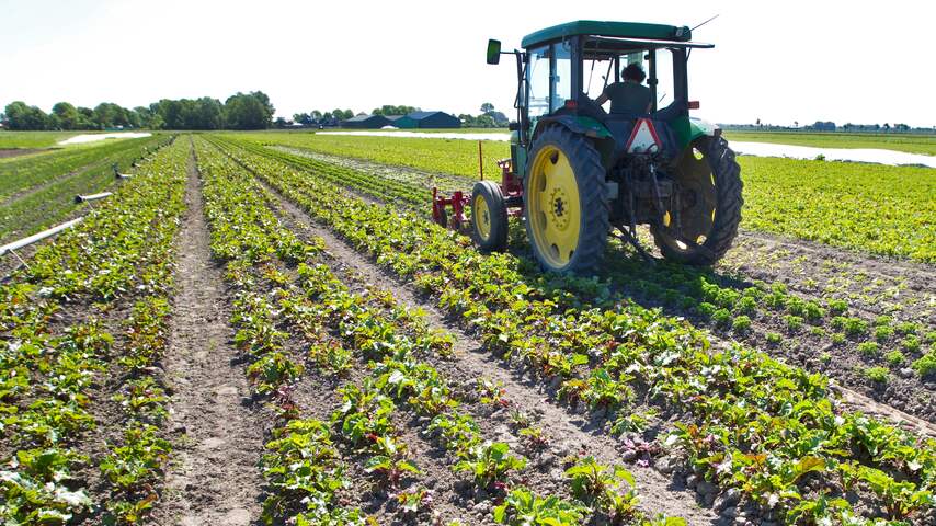 Oogst akkerbouwers in 2018 stuk slechter door langdurende droogte