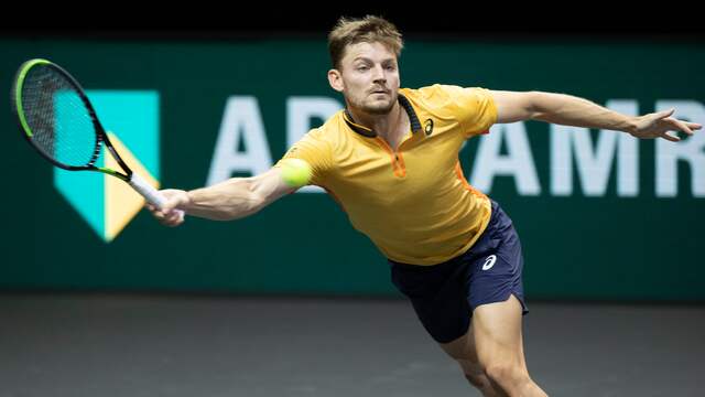 David Goffin strandde in de tweede ronde.